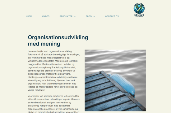 Organisationsudvikling med mening